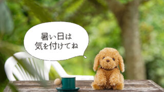 6月1日 おしゃべり動物シリーズ第2弾！ おしゃべりトイプードル発売し